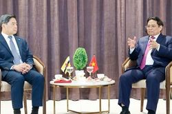 Việt Nam là đối tác giàu tiềm năng để Brunei chuyển đổi cơ cấu và đa dạng hóa nền kinh tế