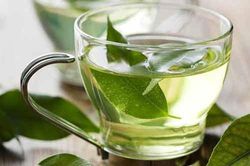 Ai không nên uống nước lá vối?