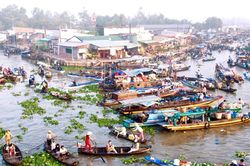 Nếu thương chợ nổi thì về miền Tây