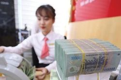 Hơn 76.000 tỉ đồng đã được hút ròng trong tuần qua