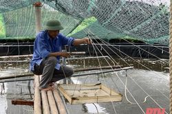 Phát triển thủy sản thích ứng với biến đổi khí hậu