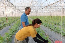 Đảng bộ xã Nga Hải xây dựng tổ chức cơ sở đảng trong sạch, vững mạnh