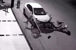 Clip: Truy đuổi mèo, đàn chó phá nát xe hơi