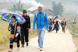 Thông minh không bằng mưu sinh?