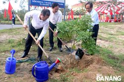 Lãnh đạo thành phố tham dự lễ phát động 'Tết trồng cây đời đời nhớ ơn Bác Hồ'