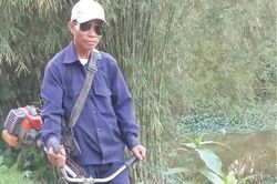 Đời sống Đời sống Chú Tuệ cắt cỏ