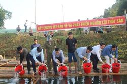 Nghệ An: Thả gần 2 tấn cá giống truyền thống tái tạo nguồn lợi thủy sản