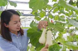 HTX khó phát triển vì 'nghẽn' chính sách đất đai