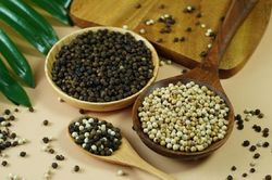 Giá tiêu hôm nay 15/2: Tăng nhẹ 500 đồng/kg