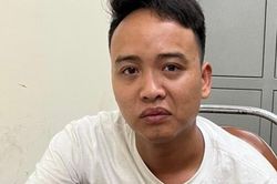 Bắt đối tượng mang súng đến cửa hàng Thế giới di động cướp điện thoại