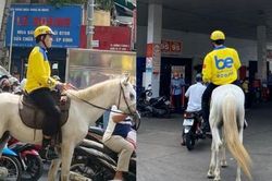 Tài xế công nghệ cưỡi ngựa trắng đi khắp trung tâm TP.HCM bị xử phạt như thế nào?