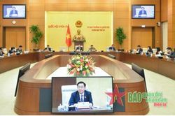 Đưa tin sai sự thật, người tiêu dùng phải bồi thường cho cá nhân, tổ chức kinh doanh