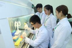 Liêm chính học thuật và kinh tế: Cán cân có lệch?