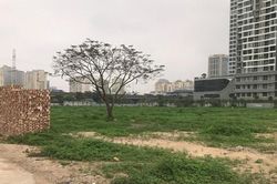 Dàn trải, manh mún