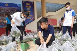 Đăng bán trên mạng xã hội, bạn trẻ Cần Thơ bán hết sạch cam sành giúp nông dân