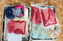 Thu giữ hơn 1.000 viên ma túy tổng hợp tại nhà đối tượng vừa ra tù
