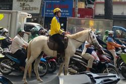 TP Hồ Chí Minh: CSGT xử phạt người đàn ông cưỡi ngựa đi vào làn đường xe cơ giới