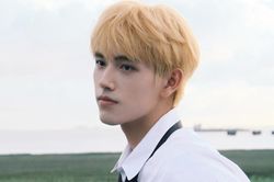Trần Phi Vũ bị 'fan ruột' bóc mẽ nhan sắc thật, netizen bất ngờ 'quay xe' bênh vực