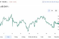 Tỷ giá USD hôm nay 15/2: Đồng USD 'giữ vững' mốc 103 điểm