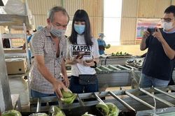 Nghỉ Tết kéo dài, Hoàng Anh Gia Lai (HAG) vẫn thu lãi trăm tỷ trong tháng 1