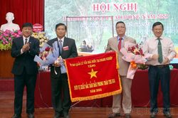Tổng sản lượng khai thác, thu mua mủ cao su đạt 3.967 tấn