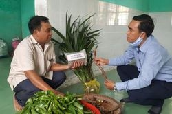 Kinh tế Khoa học - công nghệ Quy hoạch, phát triển tài nguyên dược liệu