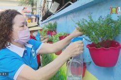Phụ nữ Thanh Xuân với những tuyến đường hoa đẹp (ngày 15/2/2023)