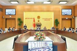 Người tiêu dùng đưa thông tin sai sự thật gây ảnh hưởng đến tổ chức, cá nhân sẽ phải bồi thường