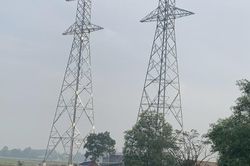Long An: Đốc thúc tiến độ giải phóng mặt bằng các dự án truyền tải điện trọng điểm