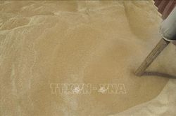 Nga viện trợ 25.000 tấn lúa mì cho Cuba