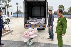 Quản lý thị trường Hà Nội tạm giữ 700 kg nầm lợn không rõ nguồn gốc xuất xứ