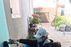 Khánh Hòa: Diệt lăng quăng, bọ gậy tùy theo cấp độ nguy cơ dịch sốt xuất huyết