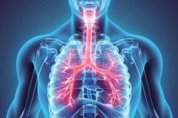 Làm điều này ung thư phổi tránh xa, cả đời sống khỏe thọ lâu lại ít ốm bệnh