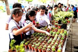Đổi rác lấy cây xanh
