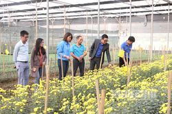 Thu nhập cao nhờ mô hình trồng hoa kết hợp nuôi dê