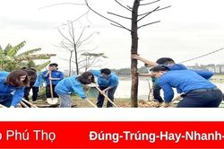 Thực hiện tốt mục tiêu trồng cây phân tán