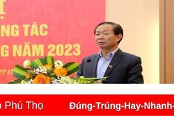Triển khai nhiệm vụ công tác kiểm tra, giám sát của Đảng năm 2023