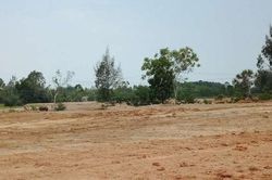 Thế nào là đất sử dụng ổn định lâu dài?