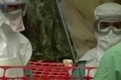 Chuyên gia nói gì về khả năng virus Marburg có tỉ lệ tử vong 70-80% lây sang Việt Nam?