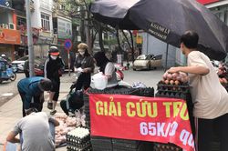 Rộ 'giải cứu trứng gà' trên đường phố Hà Nội: Bảo quản trứng thế nào cho đúng cách?