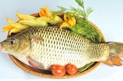 Thực phẩm được xem là thần dược cho sức khỏe giúp bạn ít ốm bệnh cả năm chẳng tốn tiền thuốc
