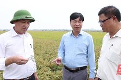 Nga Sơn phát huy vai trò nêu gương của người đứng đầu