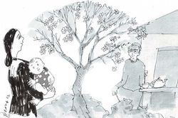 Trước nhà có một cây mai