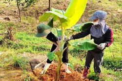 Chính trị - Xã hội Phụ nữ Không để ai bị bỏ lại phía sau