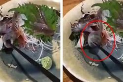 Dùng đũa gắp cá trên đĩa mà cá há miệng cắn lại, thực khách hết hồn, đầu bếp nói sao?