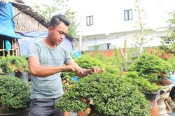 Năm 2023, phấn đấu đào tạo nghề nông nghiệp cho 1.640 lao động
