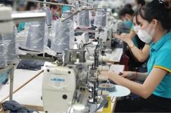Kinh tế Hiệu quả từ công tác thanh tra chuyên ngành