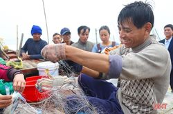 Tổ đồng quản lý nghề cá ven bờ ở Hà Tĩnh góp phần chống khai thác thủy sản bất hợp pháp