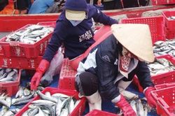 Đời sống Tự tin vươn khơi