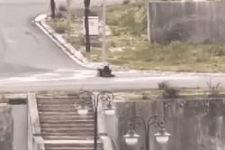 Video cặp chó khổng lồ tấn công nam sinh gây thương tích nặng